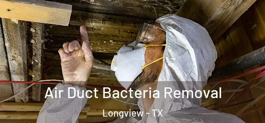 Air Duct Bacteria Removal Longview - TX