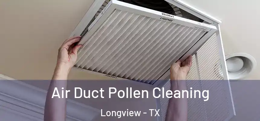 Air Duct Pollen Cleaning Longview - TX