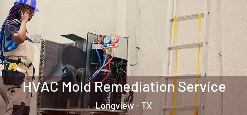 HVAC Mold Remediation Service Longview - TX
