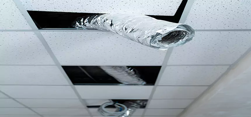 Affordable HVAC Sanitizing After Pest Removal in Longview