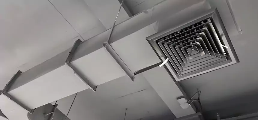 Restorative Allergy Relief Vent Cleaning – Coil, Blower & Housing Detail in Longview