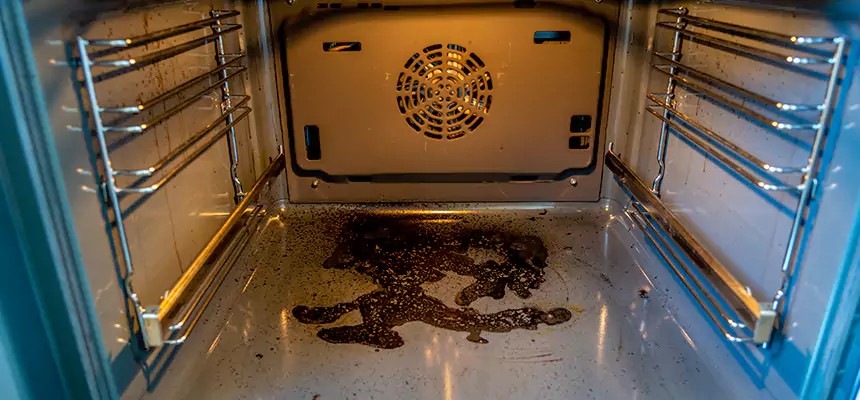 Our Dryer Vent Mold Cleaning Services in Longview, TX