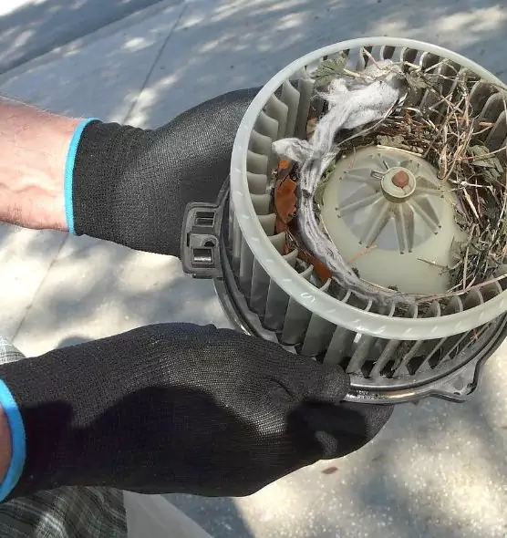 About Air Duct Rat Removal in Longview, TX