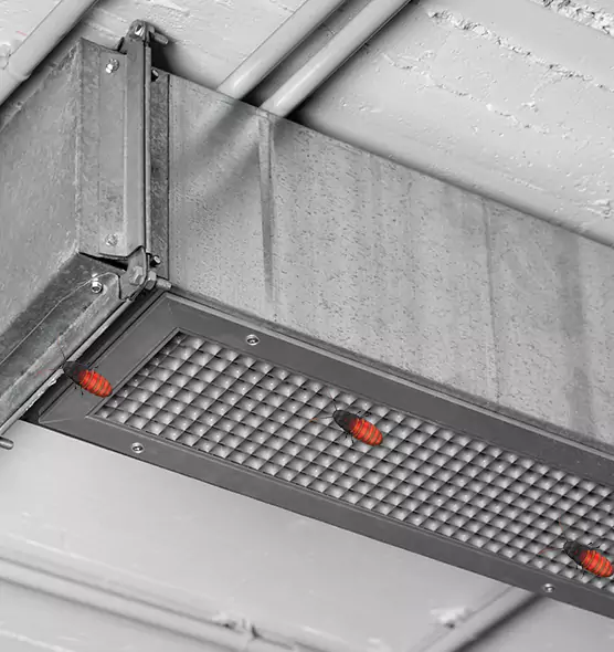 Affordable Insect Removal from Air Ducts in Longview, TX