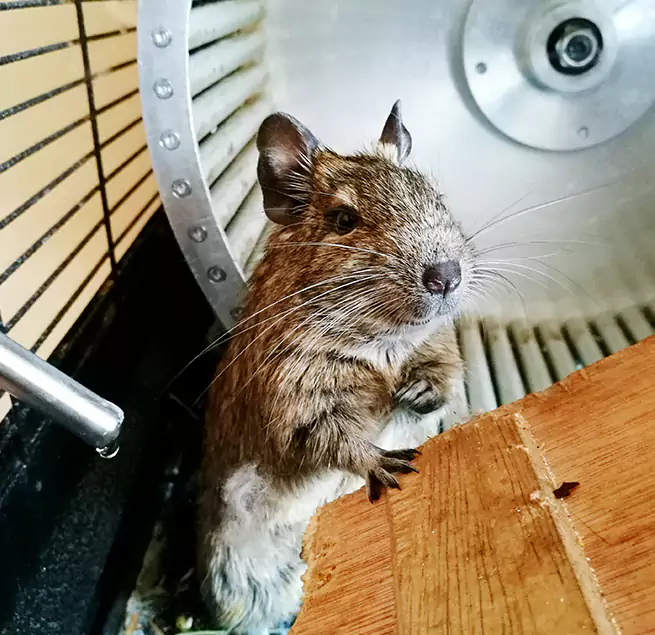 Why Homeowners & Businesses Trust Us Longview, TX