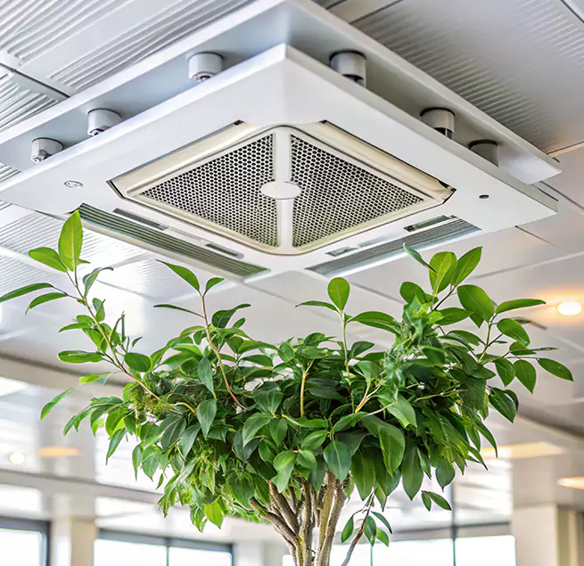 Why Homeowners & Businesses Trust Us in Longview, TX?